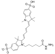 2055138-61-7；diSulfo-Cy5 hydrazide；二磺酸-CY5-酰肼	
