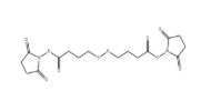 cas:98604-88-7，Bis-SS-C3-NHS ester，抗體藥物偶聯(lián)物（ADC）