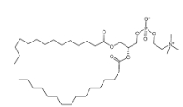 1-Myristoyl-2-palmitoyl-sn-glycero-3-phosphocholine，69525-80-0，1-肉豆蔻?；?2-棕櫚酰基卵磷脂