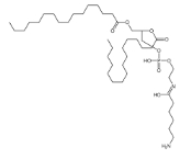 16:0 Caproylamine PE，115288-21-6，1,2-二棕櫚?；?sn -甘油-3-磷酸乙醇胺-N-(己酰胺) 