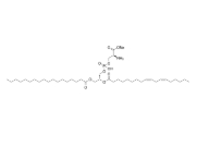 1-stearoyl-2-linoleoyl-sn-glycero-3-phospho-L-serine (sodium salt) (18:0 -18:2 PS)，CAS:322647-11-0，1-硬脂酰基-2-亞油?；?sn-甘油-3-磷酸-L-絲氨酸(鈉鹽)