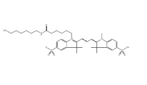 CAS：2183440-43-7，水溶 Cy3-NH2