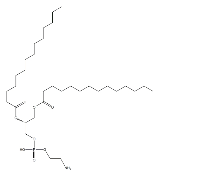 998-07-2，DMPE（1,2-二肉豆蔻酰-sn-甘油-3-磷酰乙醇胺）