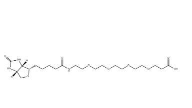 721431-18-1，(+)-Biotin-PEG4-CH2CH2COOH