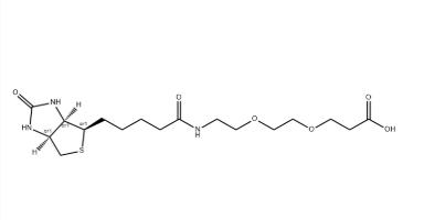 1365655-89-5，(+)-Biotin-PEG2-CH2CH2COOH