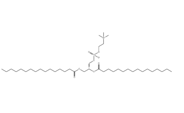 63-89-8，DPPC（1,2-二棕櫚酰-sn-甘油-3-磷酰膽堿）