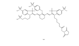 IRDye 800 NHS，CAS：956579-01-4