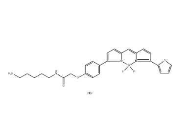 217190-24-4，氟化硼二吡咯 TR Cadaverine
